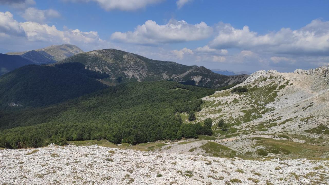 La Casina Gialla Villa Veroli Kültér fotó